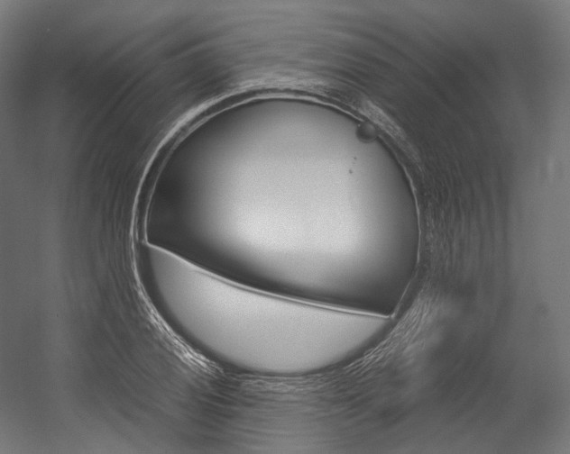 X0000054471028200507291042