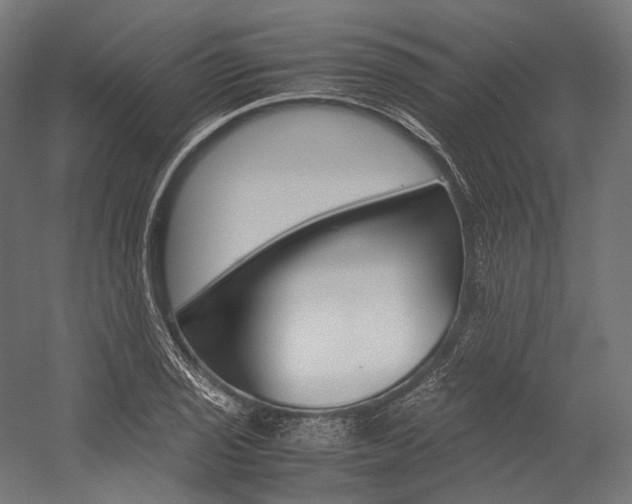 X0000054471029200507291042