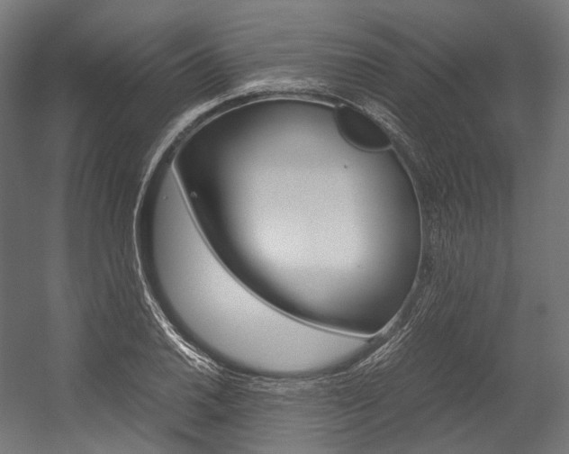 X0000054471030200507291042