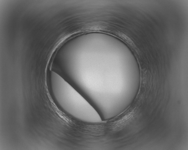 X0000054471031200507291042