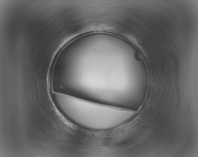 X0000054471032200507291042