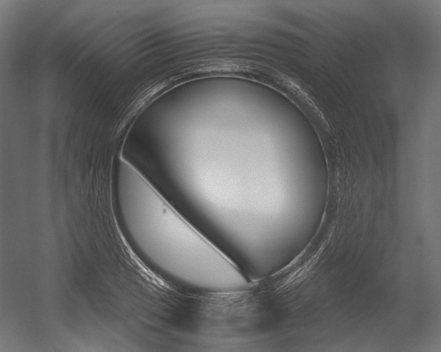 X0000054471033200507291042