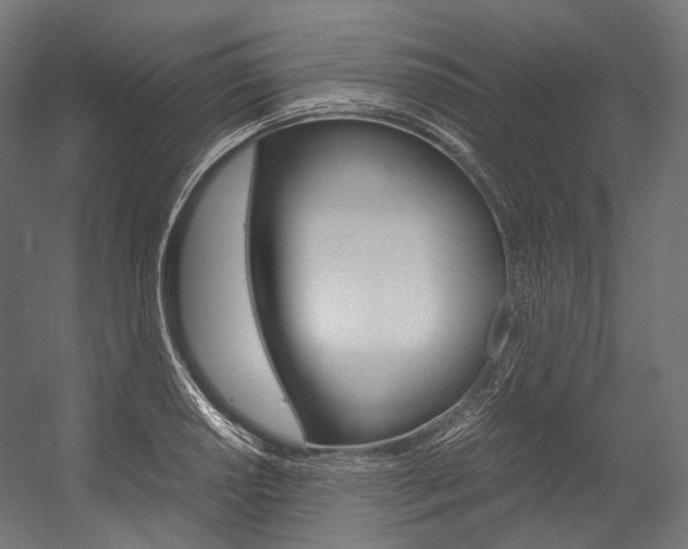 X0000054471034200507291042