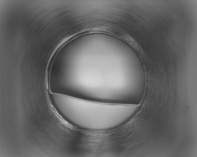 X0000054471036200507291042