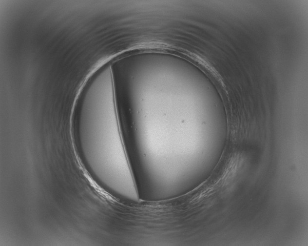 X0000054471037200507291042