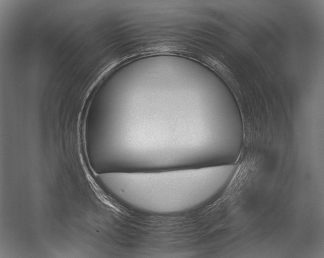 X0000054471039200507291042