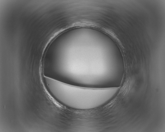 X0000054471040200507291042