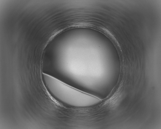 X0000054471041200507291042
