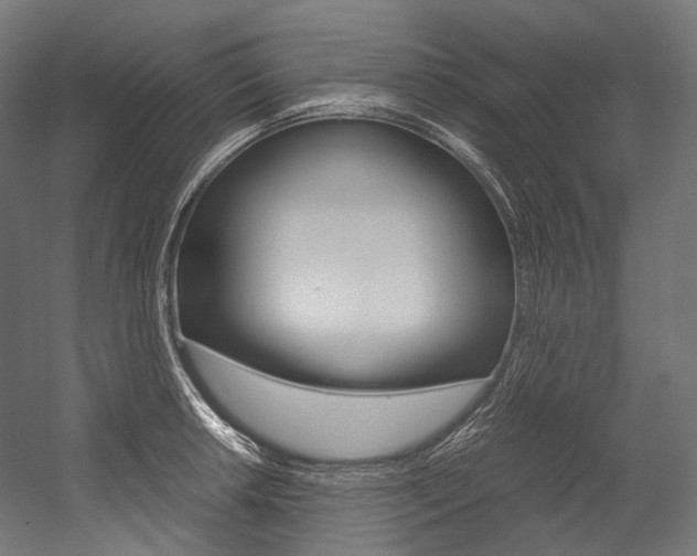 X0000054471042200507291042