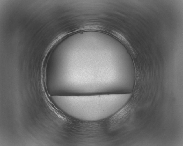 X0000054471043200507291042