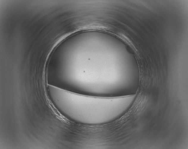 X0000054471044200507291042