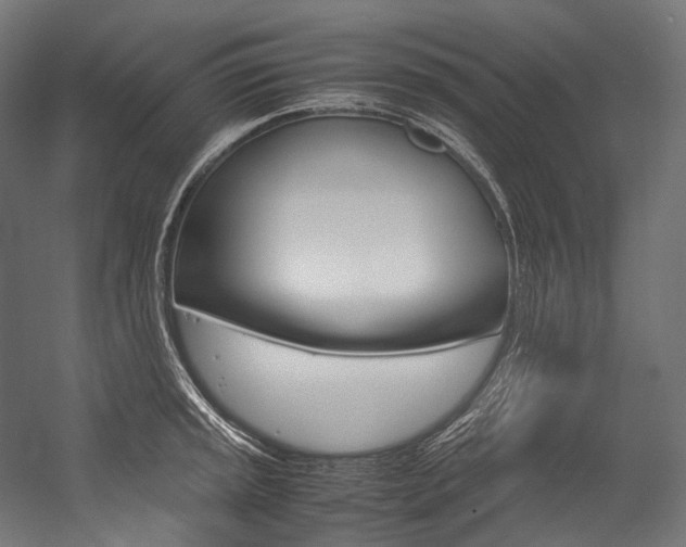 X0000054471045200507291042