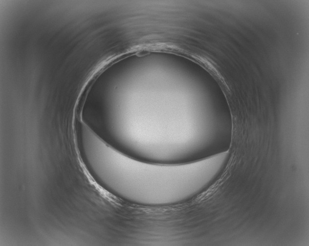 X0000054471046200507291042