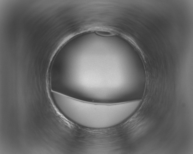 X0000054471048200507291042