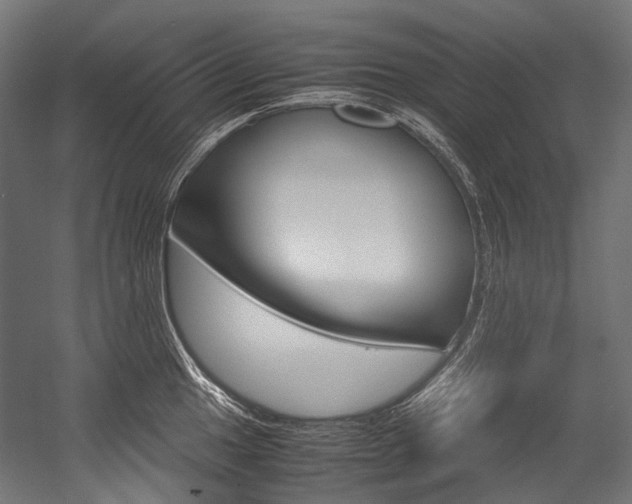 X0000054471049200507291042