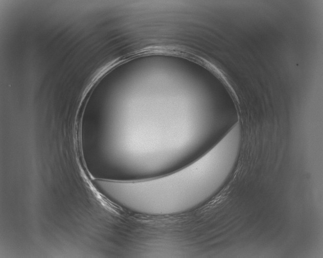 X0000054471050200507291042