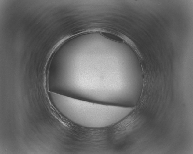 X0000054471051200507291042