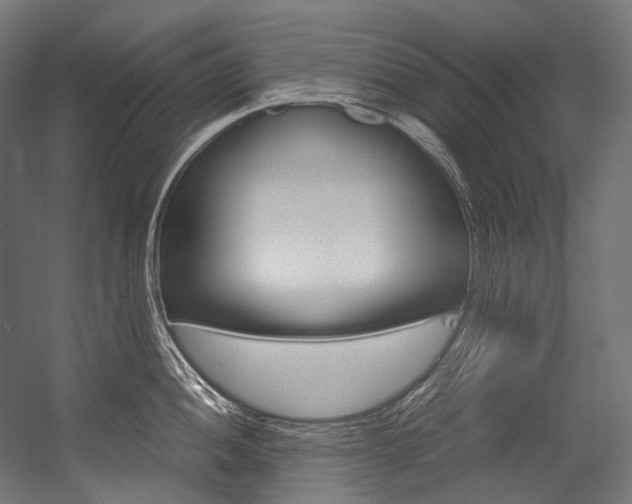 X0000054471052200507291042