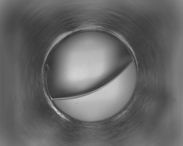 X0000054471053200507291042