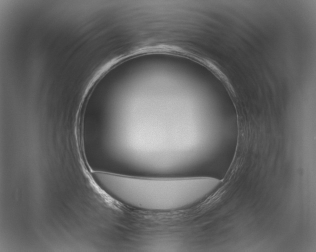 X0000054471054200507291042