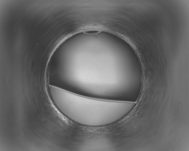 X0000054471056200507291042