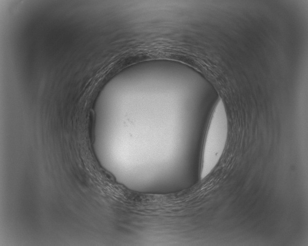 X0000054471057200507291041