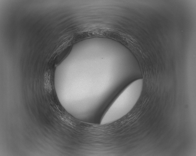 X0000054471060200507291041