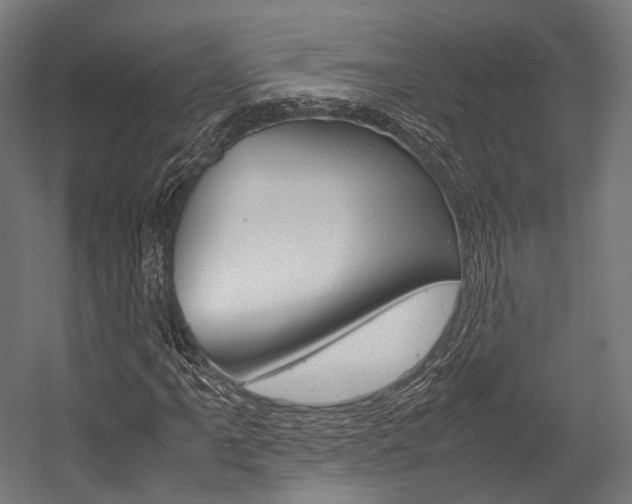 X0000054471061200507291041