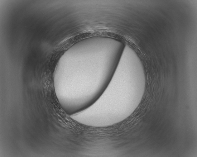 X0000054471063200507291041