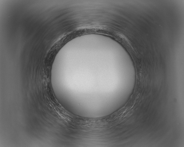 X0000054471064200507291041