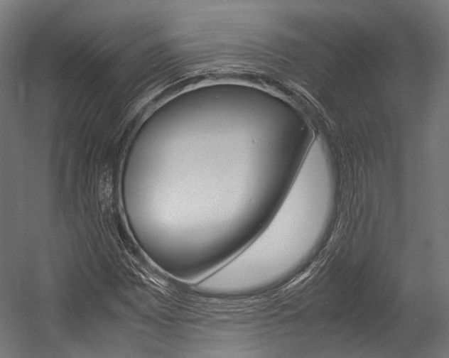 X0000054471065200507291041