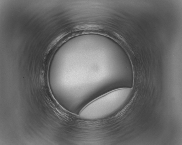 X0000054471066200507291041