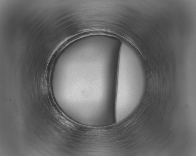 X0000054471068200507291041