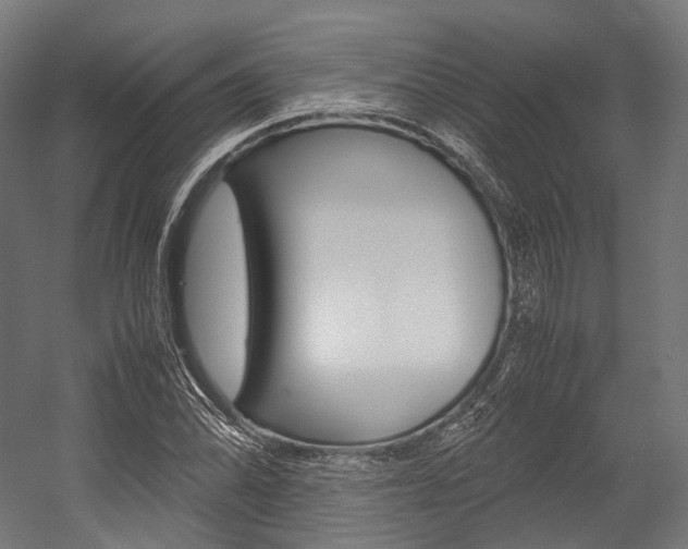 X0000054471070200507291041