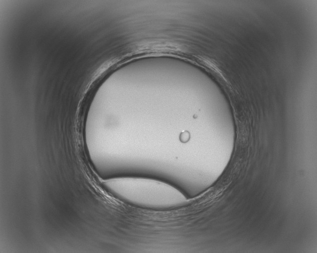 X0000054471071200507291041