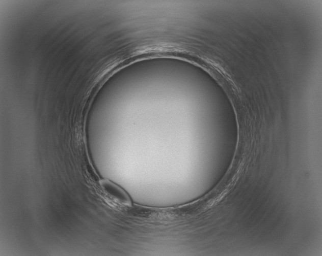 X0000054471073200507291041