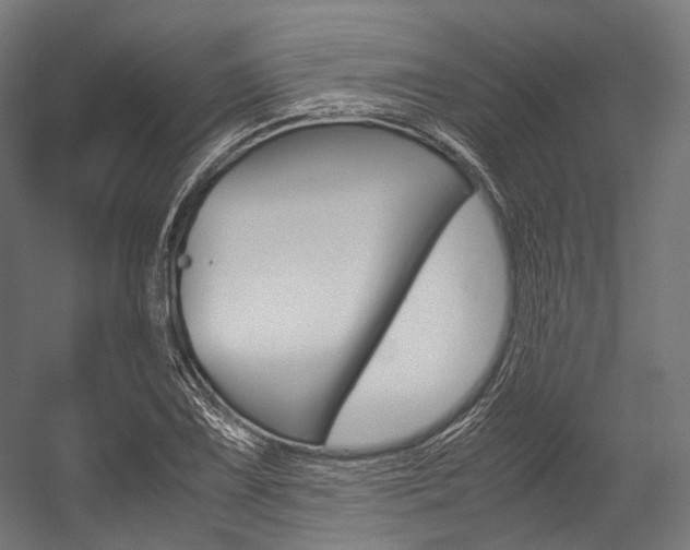 X0000054471075200507291041