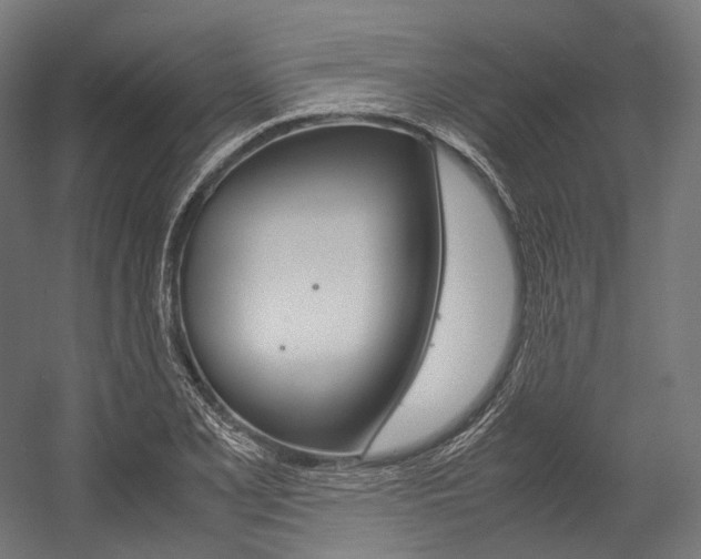 X0000054471077200507291041