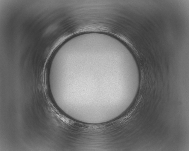 X0000054471078200507291041