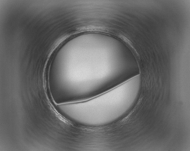 X0000054471082200507291041
