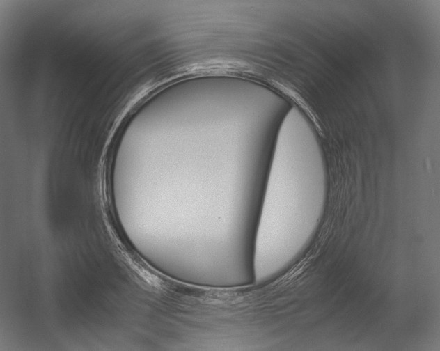 X0000054471083200507291041