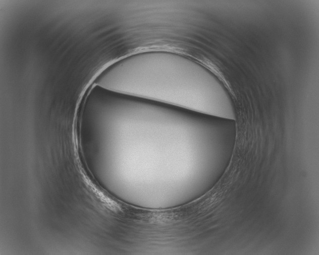 X0000054471084200507291041