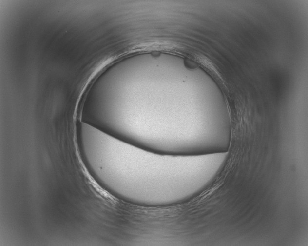 X0000054471087200507291041