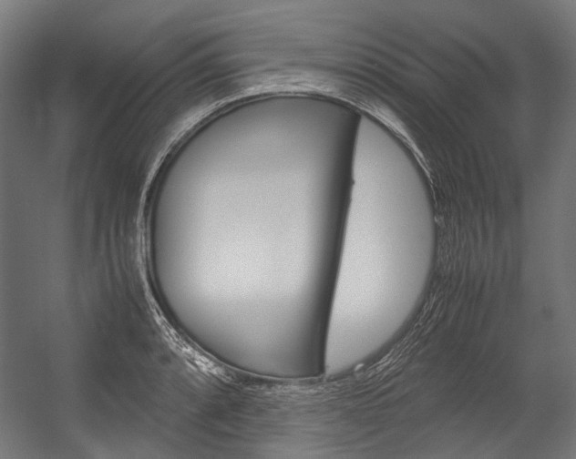 X0000054471088200507291041