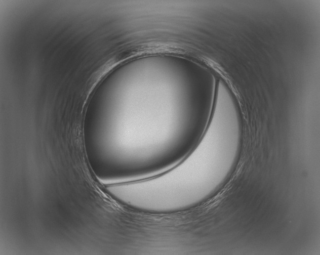 X0000054471089200507291041