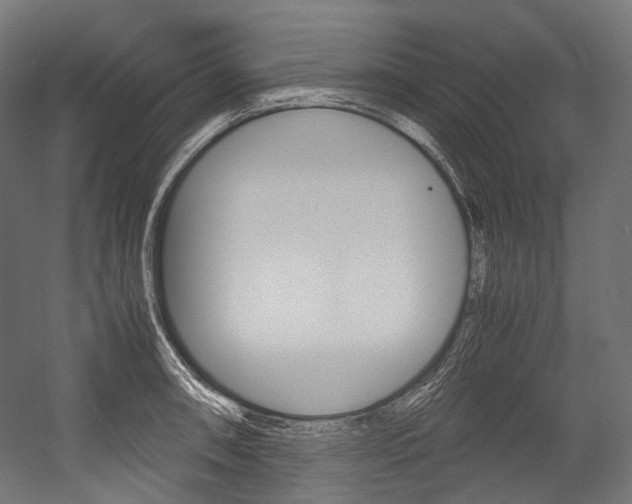 X0000054471090200507291041