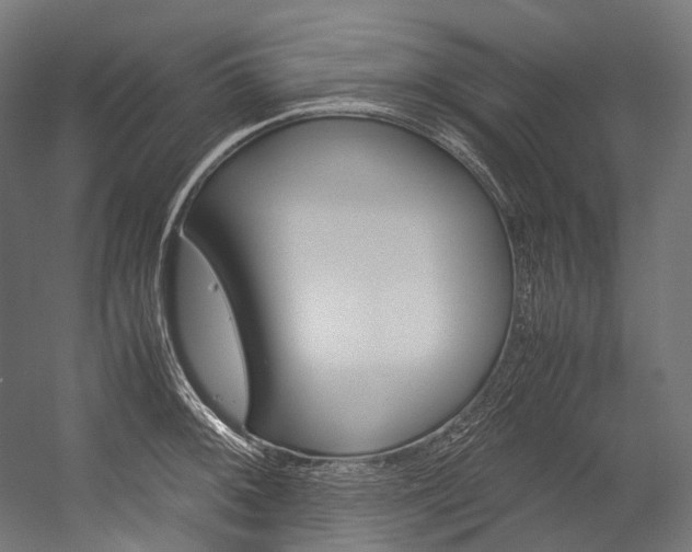 X0000054471092200507291041