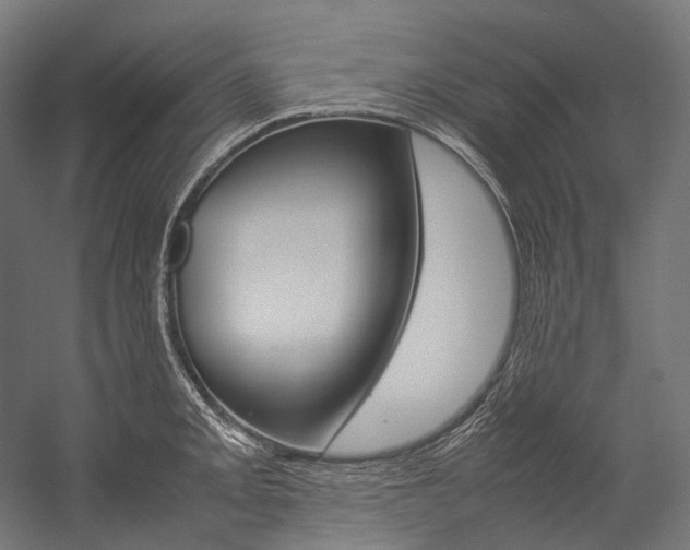 X0000054471093200507291041