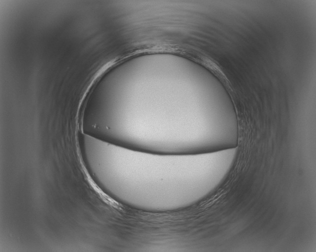 X0000054471095200507291041