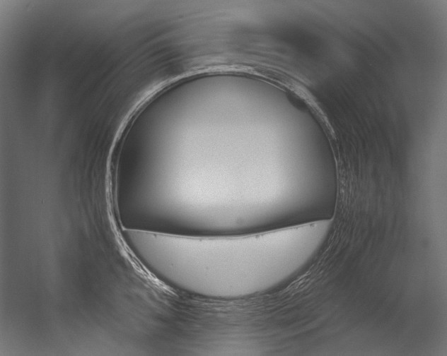 X0000054471096200507291041